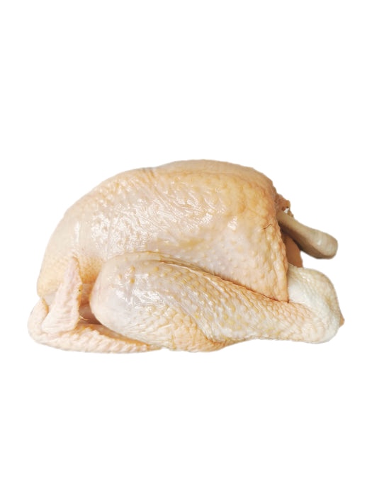 Whole Village Chicken