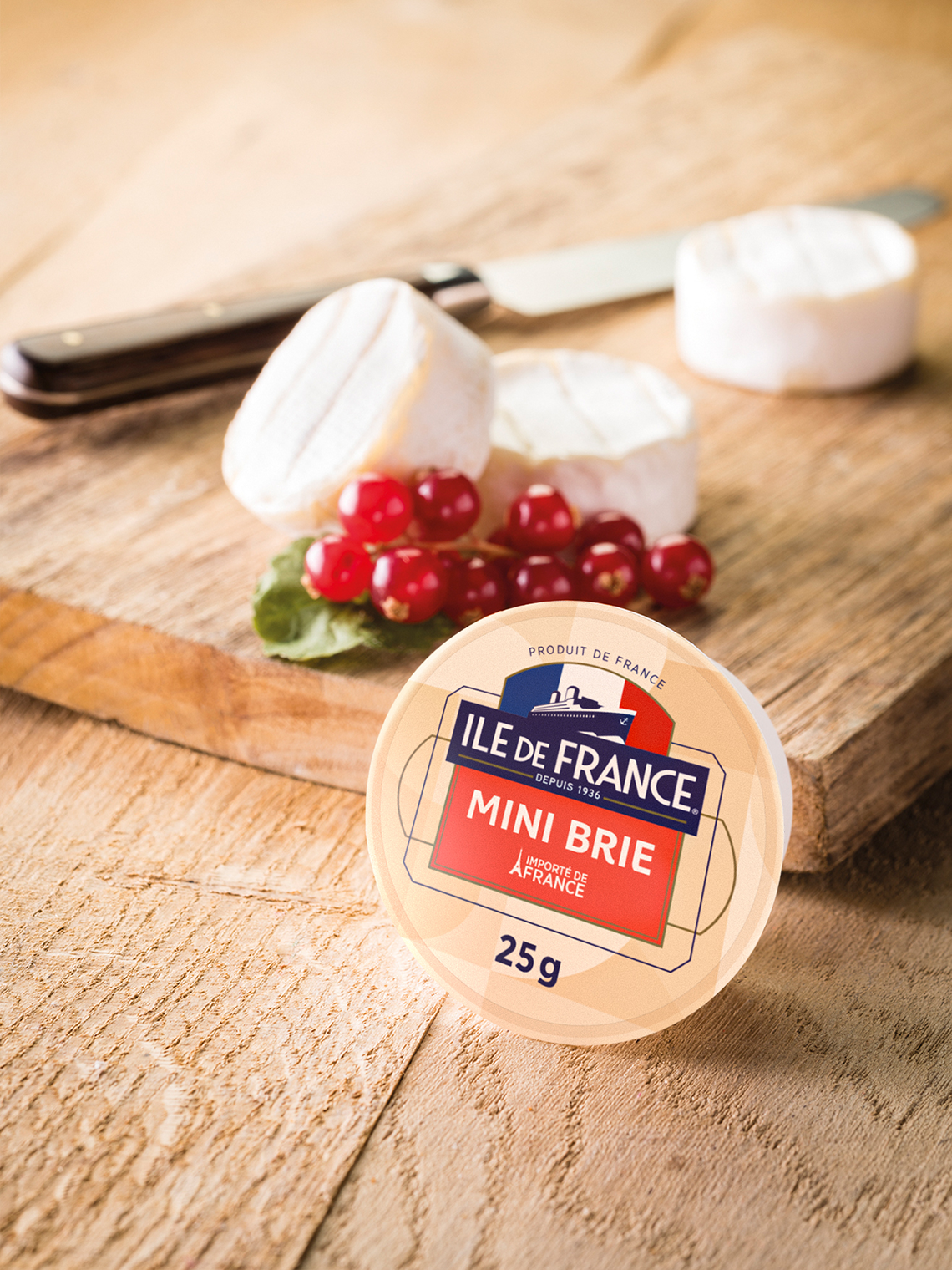 IDF Mini Brie .