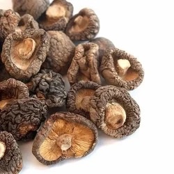 Spring Dried Mushroom 100g